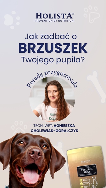 An educational ad featuring a veterinarian technician explaining pet digestive health to build brand credibility and trust.